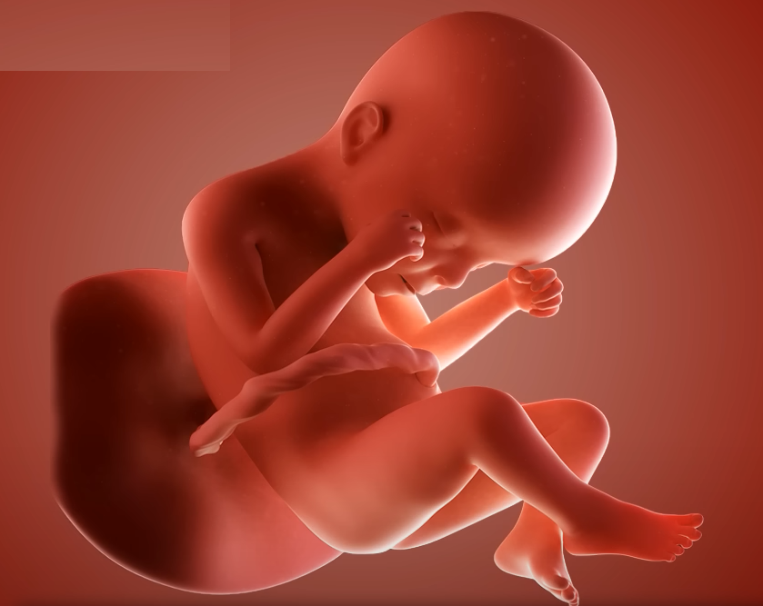 prenatal reimprinting addresses issues from before you were born